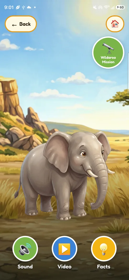 Meet the Elephant screen with fun fact and Watch Me button